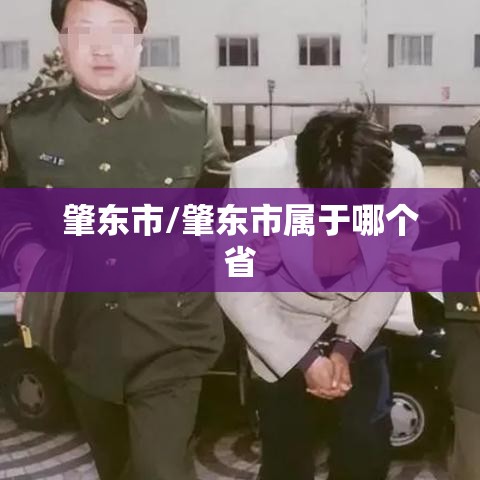 肇东市/肇东市属于哪个省